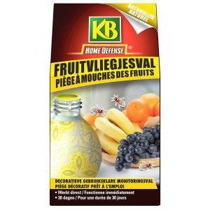 KB Fruitvliegval 1 stuk Vooraanzicht