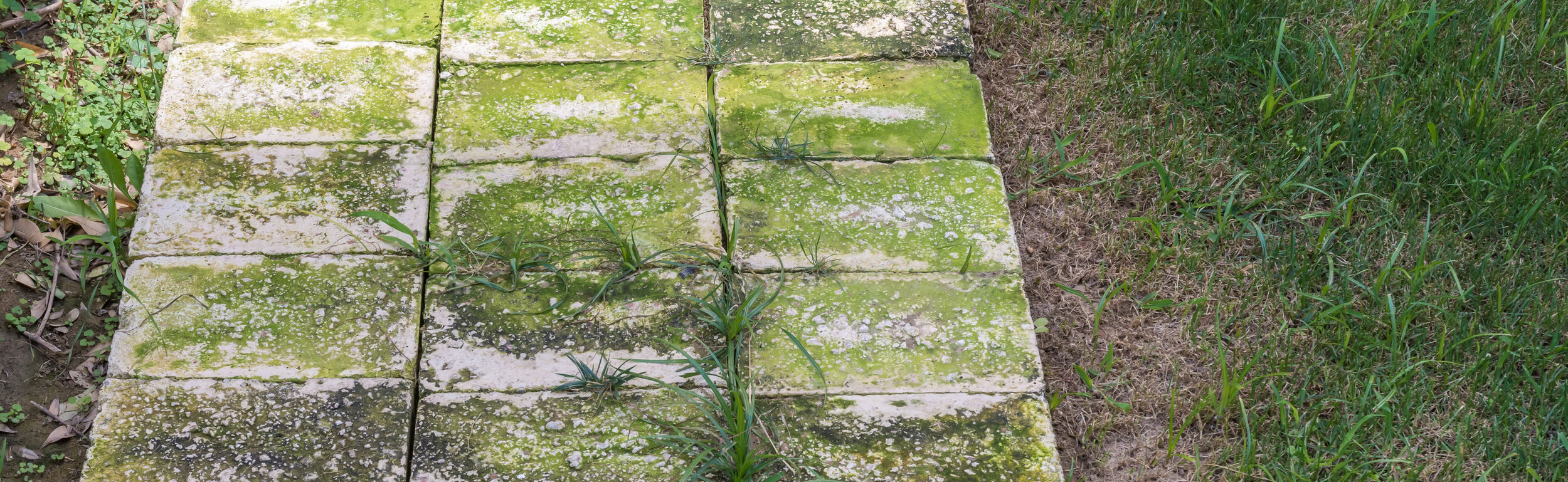 Groene aanslag verwijderen