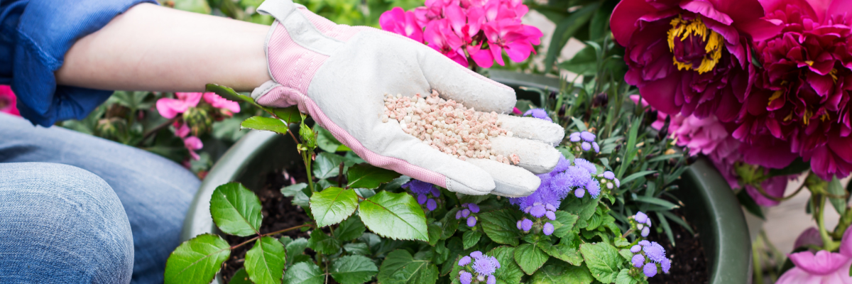 Bemesten Tuinshop.nl