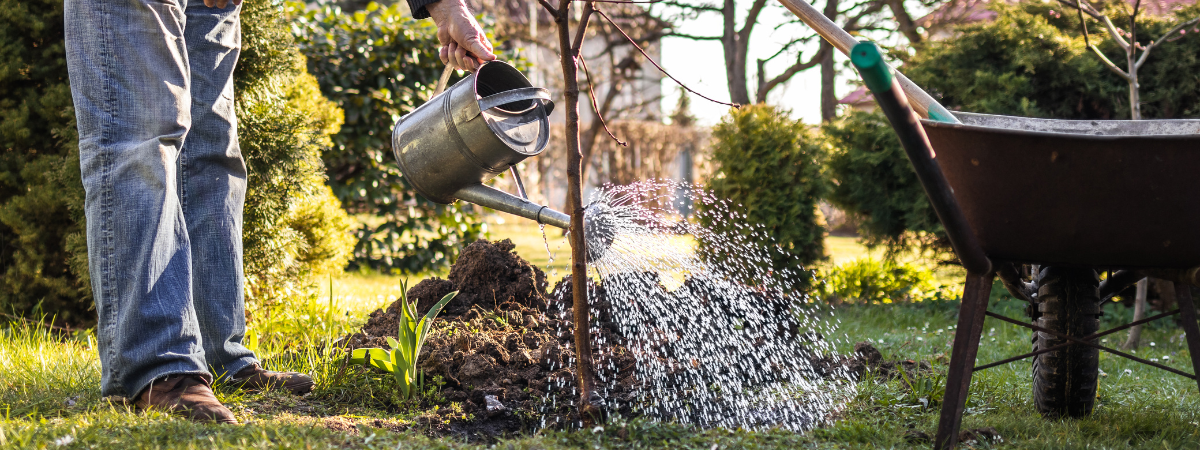 Bewatering Tuinshop