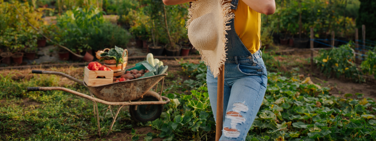 Biologische moestuin Tuinshop