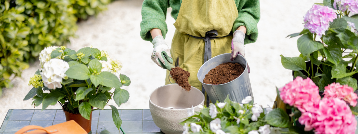 Biologisch tuinieren in potten Tuinshop