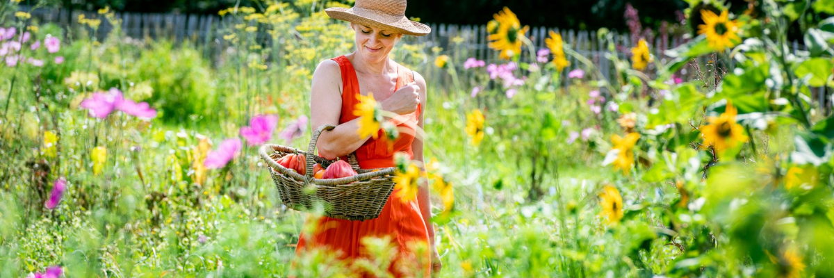 DCM mesatstoffen moestuin Tuinshop