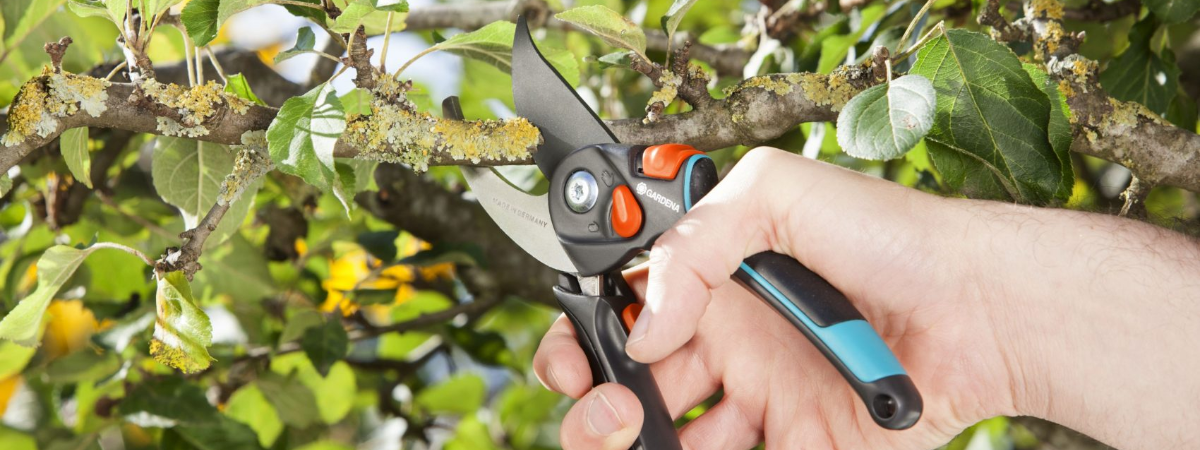 Snoeigereedschap Tuinshop.nl