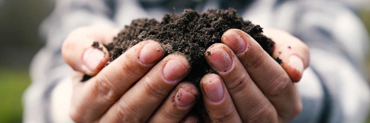 Mest gebruiken bodem Tuinshop