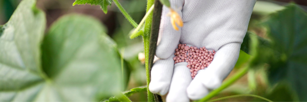 Vloeibare mest plantenvoeding Tuinshop