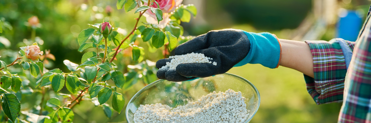 Meststoffen voorjaar Tuinshop