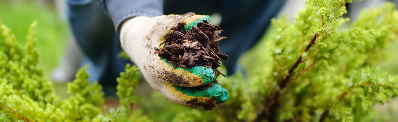 Grond verbeteren voorjaar Tuinshop.nl