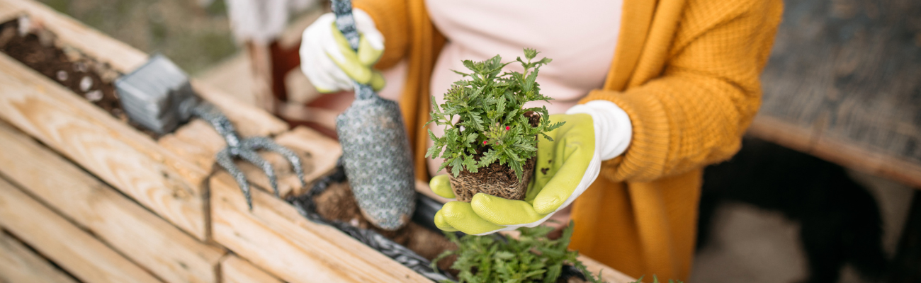 Tuinieren kleine tuin Tuinshop.nl