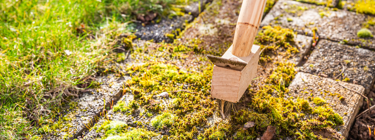 Tuinshop terras schoonmaken 