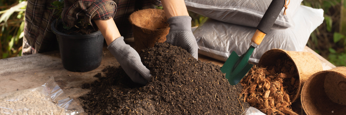 Voorbereiden grond zaaien Tuinshop