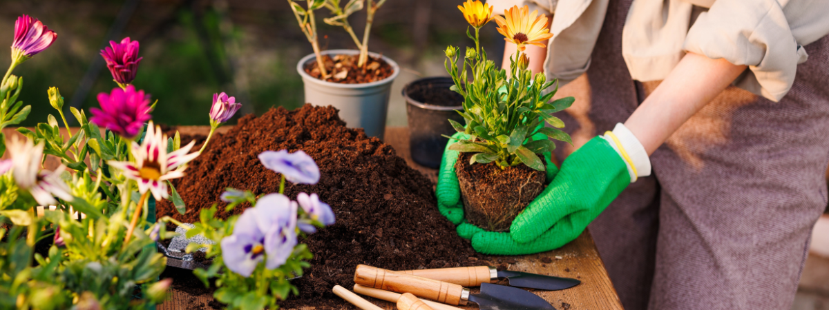 Universele potgrond Tuinshop.nl