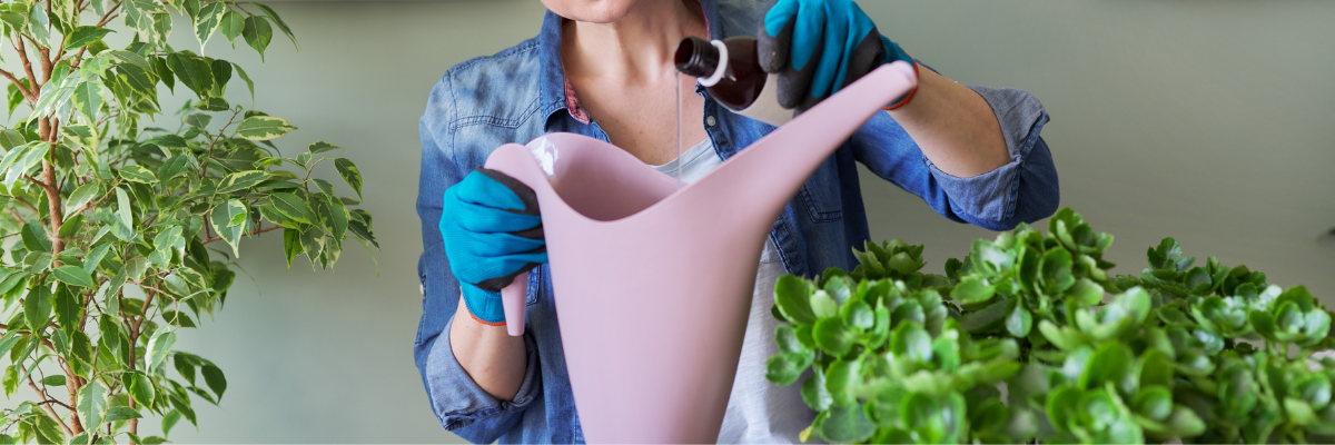 Vloeibare meststoffen plantvoeding Tuinshop